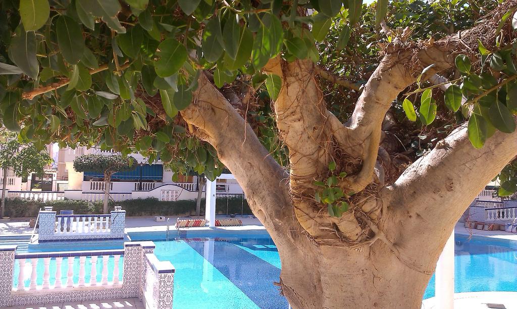 La Mata Vinamar Appartement Buitenkant foto